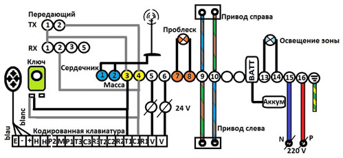 Схема подключения устройств к блоку управления воротами